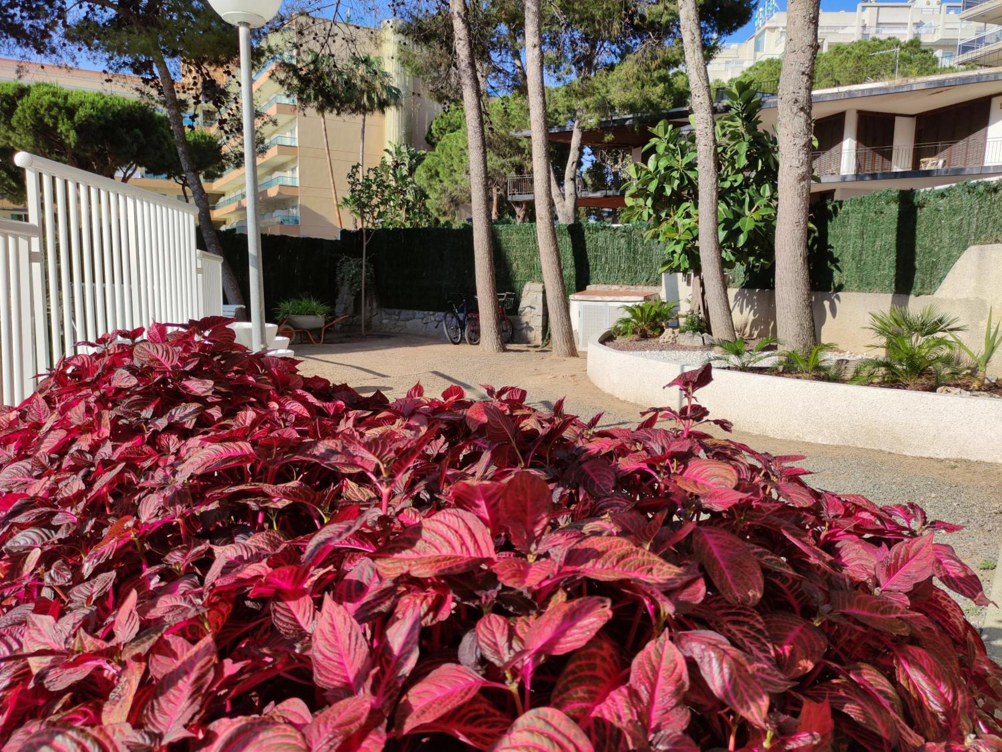 Paradis Salou, Centro Turistico, Wifi, Piscina, Vistas Al Mar Εξωτερικό φωτογραφία